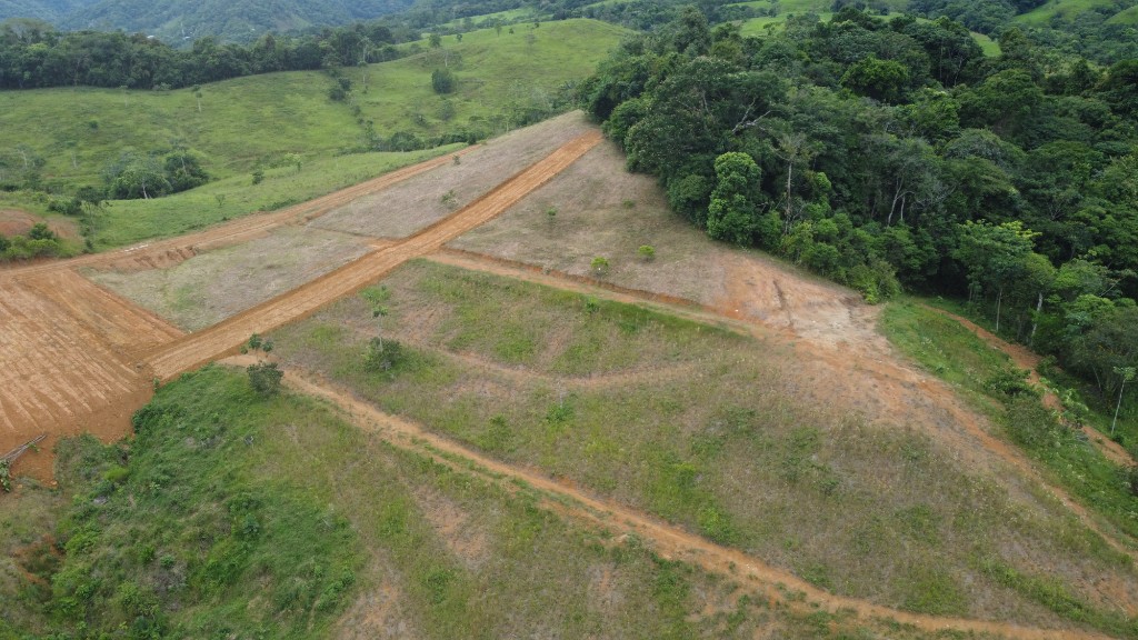 Senderos de los Bosques